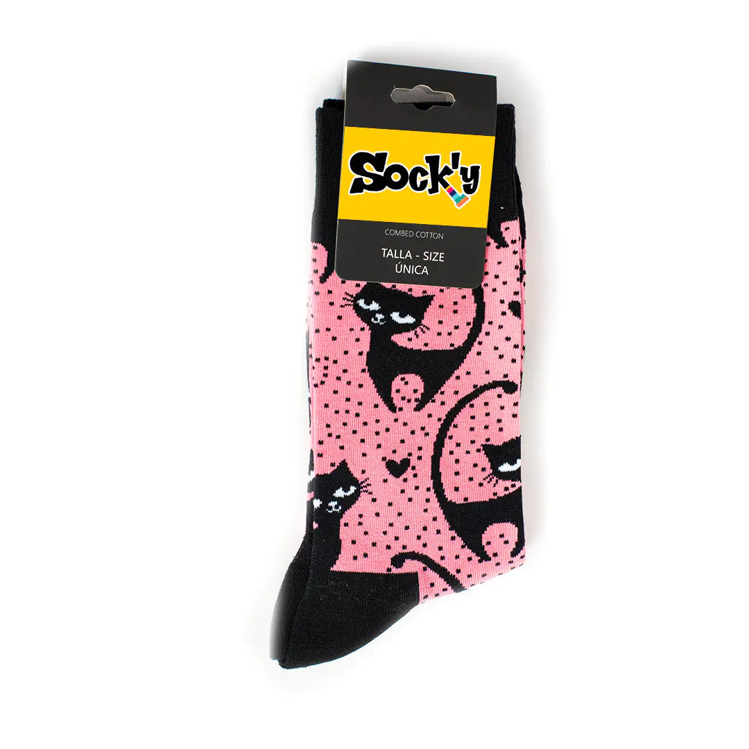 Gatos femeninos sobre fondo rosa